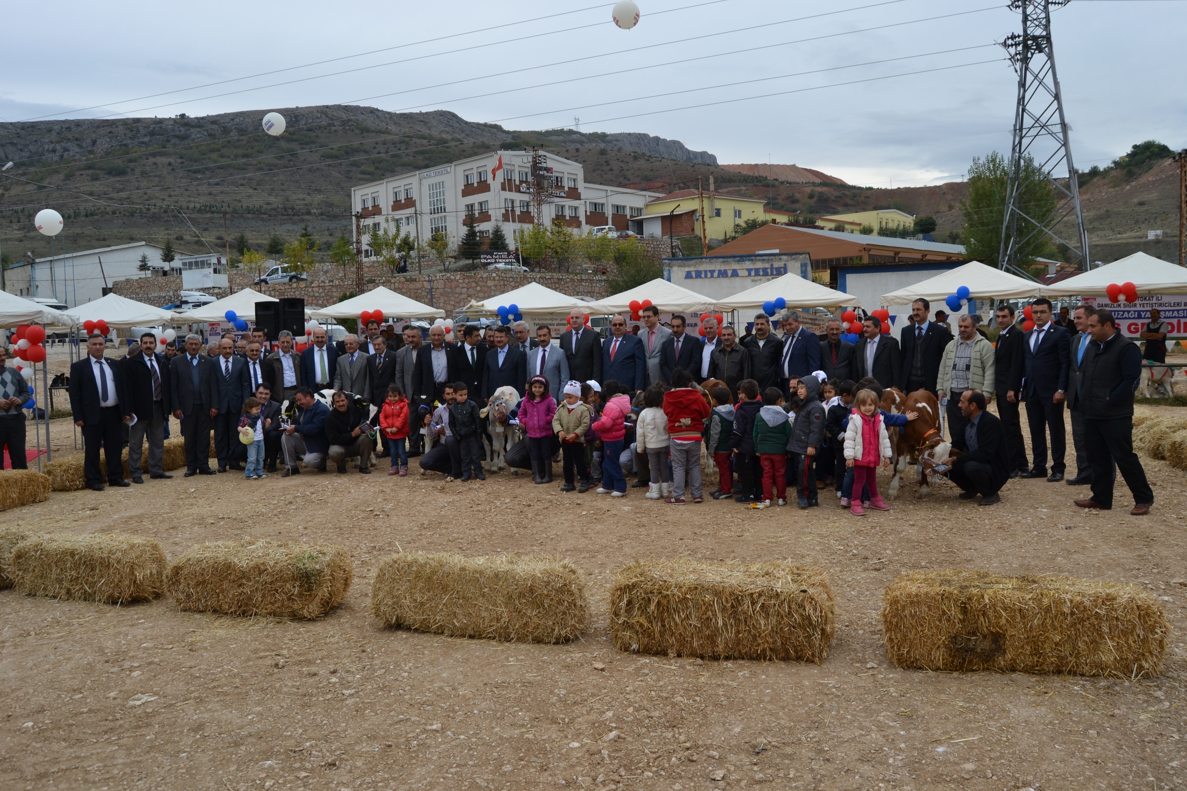 TOKAT’TA 2. BUZAĞI YARIŞMASI DÜZENLENDİ