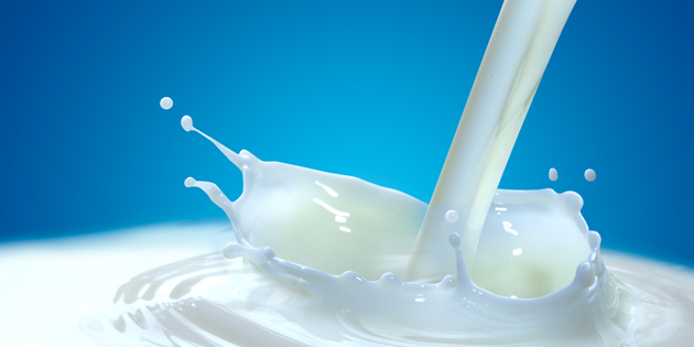 `Hedefimiz 250 Köye Süt Tankı Yerleştirmek` - Çorum Haber