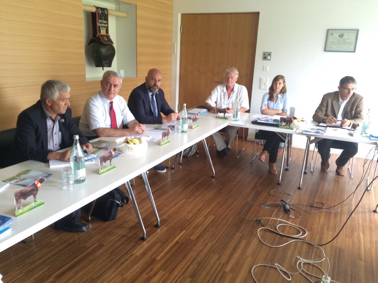 Merkez Birliği Heyeti Brown Swiss Federasyonu Toplantısına Katıldı