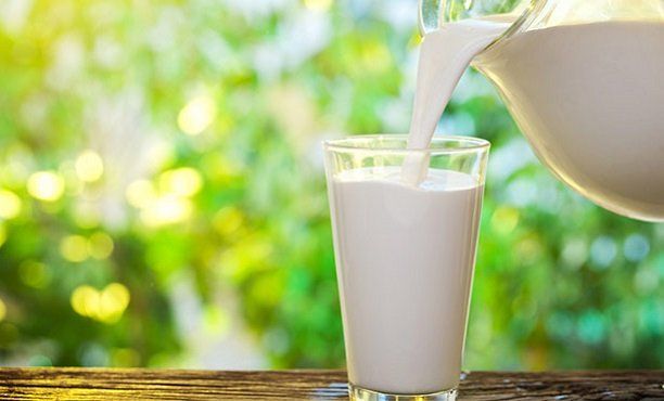 Çiğ Süt Toplama Altyapısının İyileştirilmesi Projesi Başladı-www.haberci.com