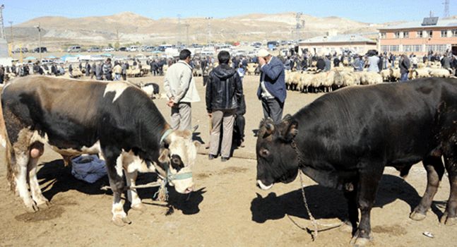 Afyonkarahisar Ana Haber Gazetesi:Kurban Alacaklar Bütçeyi İyi Yapmalı