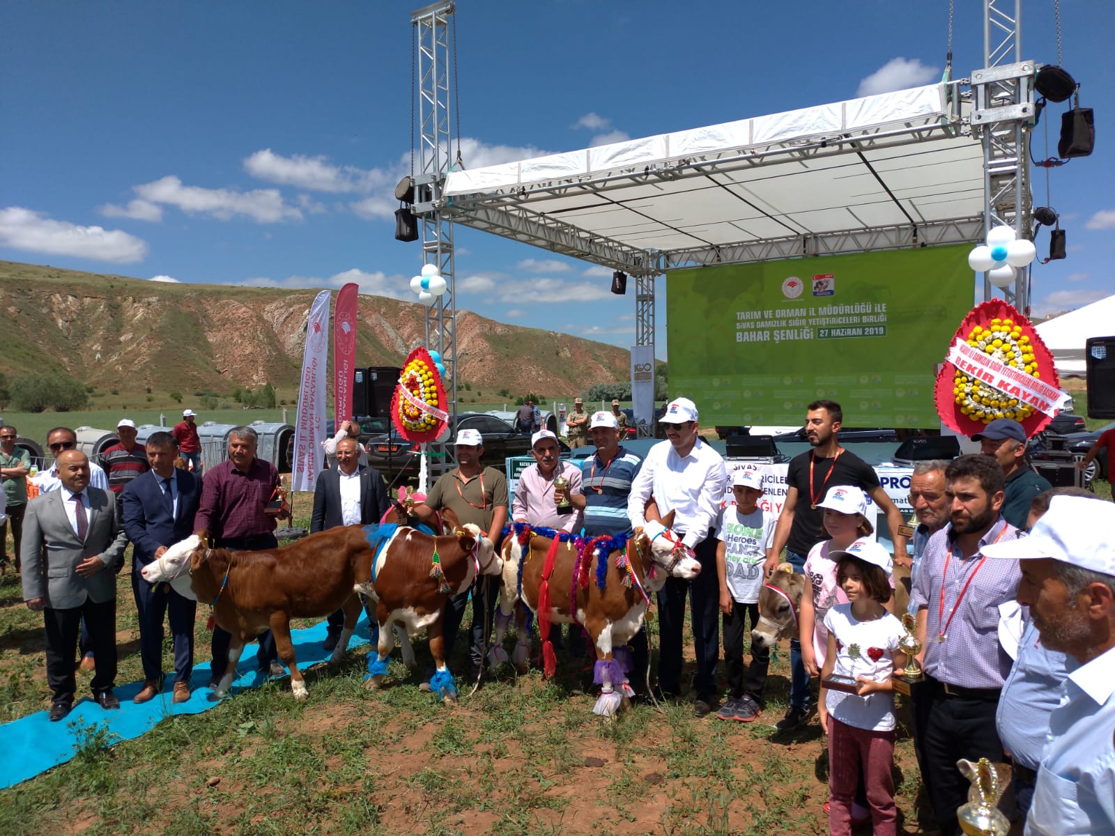 Sivas’da Buzağı Güzellik Yarışması Düzenlendi