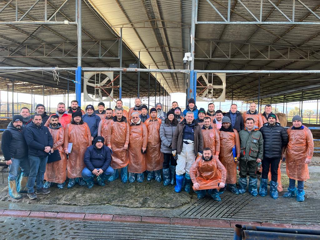 Brown Swiss Irkı Sığırlarda Tip Sınıflandırması ve Vücut Kondisyonu Değerlendirme Eğitimi Aydın’da Gerçekleştirildi