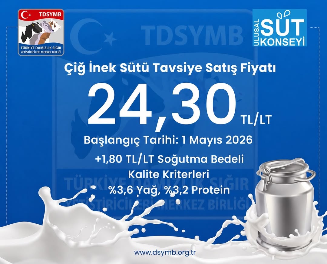 Ortalama Fiyatlar